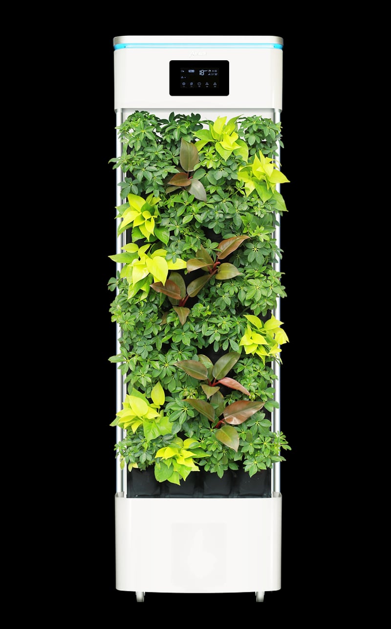 Air Purifying Varieties
